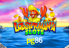 Premium Interface pg86